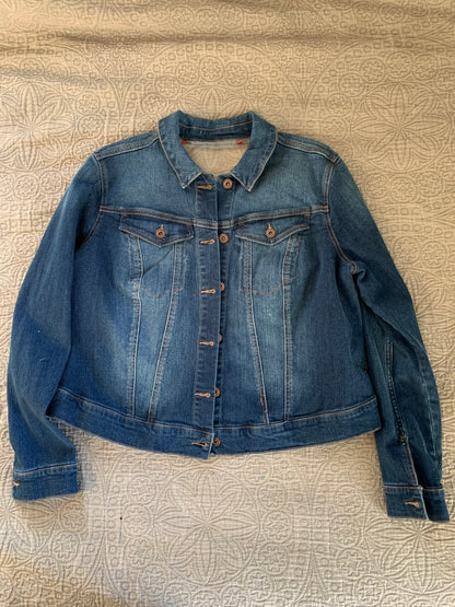Denim Roses [0X]